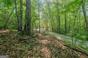 84 Knights Way, Blairsville, GA 30512 - Photo 28