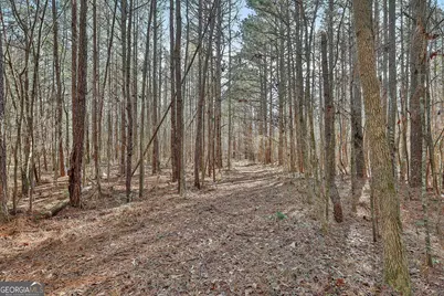 1870 Highway 92 N, Fayetteville, GA 30214 - Photo 10