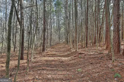 1870 Highway 92 N, Fayetteville, GA 30214 - Photo 12