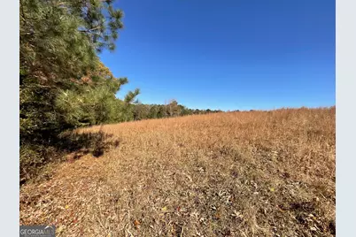 501 Raleigh Road, Woodbury, GA 30293 - Photo 64