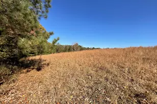 501 Raleigh Rd, Woodbury, GA 30293 - Photo 64