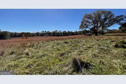 501 Raleigh Road, Woodbury, GA 30293 - Photo 90