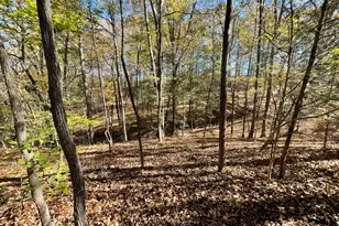 501 Raleigh Rd, Woodbury, GA 30293 - Photo 50