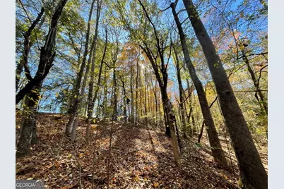 501 Raleigh Road, Woodbury, GA 30293 - Photo 60