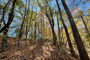 501 Raleigh Rd, Woodbury, GA 30293 - Photo 60