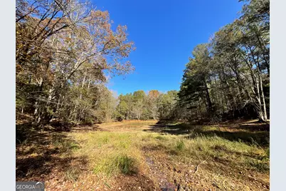 501 Raleigh Road, Woodbury, GA 30293 - Photo 58