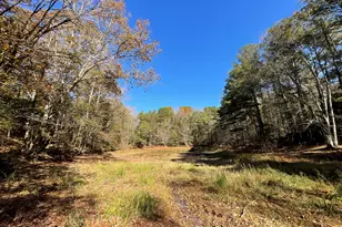 501 Raleigh Rd, Woodbury, GA 30293 - Photo 58