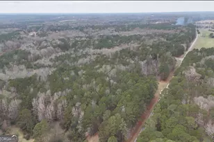 1094 Goolsby Rd, Monticello, GA 31064 - Photo 28