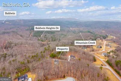 0 Planters Pointe Lane #LOT 35, Baldwin, GA 30511 - Photo 12