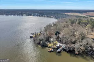 508 B N Spring Creek Circle, Cobb, GA 31735 - Photo 48