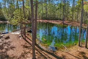 1576 Mt Hope Rd, Guyton, GA 31312 - Photo 34