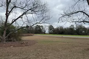 15497 Hwy 233, Abbeville, GA 31001 - Photo 26