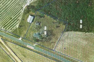 15497 Hwy 233, Abbeville, GA 31001 - Photo 36