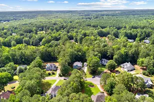 50 Barrington Grange Ct, Sharpsburg, GA 30277 - Photo 60