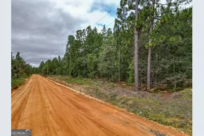 766 Parks Road, Mauk, GA 31058 - Photo 20