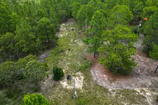 766 Parks Rd, Mauk, GA 31058 - Photo 22
