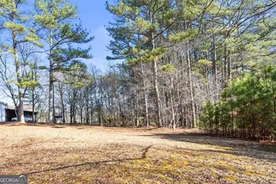 322 Cannon Road, La Fayette, GA 30728 - Photo 72