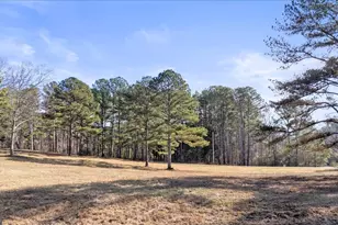 322 Cannon Rd, La Fayette, GA 30728 - Photo 8