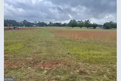 44 Crabapple Drive, Hawkinsville, GA 31036 - Photo 1