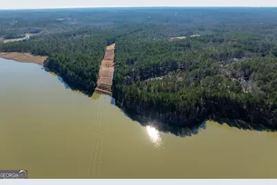 136 Sam Solomon Road, Locust Grove, GA 30248 - Photo 12