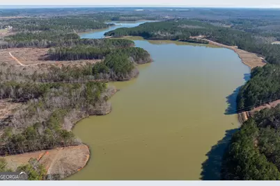 136 Sam Solomon Road, Locust Grove, GA 30248 - Photo 22