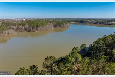 136 Sam Solomon Road, Locust Grove, GA 30248 - Photo 18