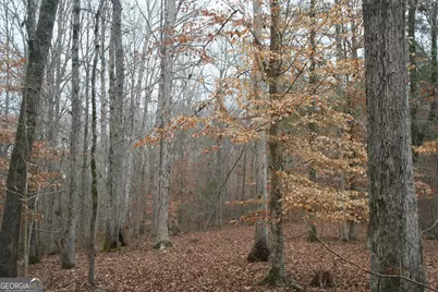 226.04+/-Ac Kingsboro Road, Hamilton, GA 31811 - Photo 20