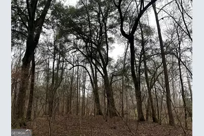 226.04+/-Ac Kingsboro Road, Hamilton, GA 31811 - Photo 4