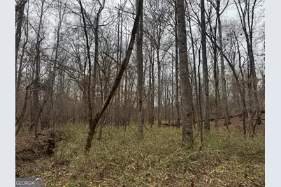 226.04+/-Ac Kingsboro Road, Hamilton, GA 31811 - Photo 18