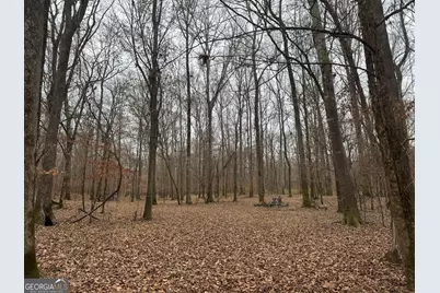 226.04+/-Ac Kingsboro Road, Hamilton, GA 31811 - Photo 10