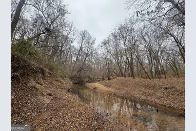 226.04+/-Ac Kingsboro Road, Hamilton, GA 31811 - Photo 14