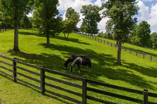 98 S Saddleback Trail, Blue Ridge, GA 30513 - Photo 54