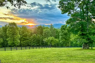 98 S Saddleback Trail, Blue Ridge, GA 30513 - Photo 62