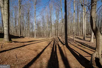 88 Fair Oaks Court, Commerce, GA 30529 - Photo 40