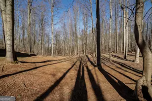 88 Fair Oaks Ct, Commerce, GA 30529 - Photo 40