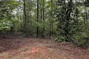 410 Irvin Rd, Thomaston, GA 30286 - Photo 44