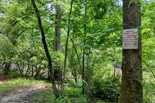 243 Chattahoochee Acres Dr, Cleveland, GA 30528 - Photo 52