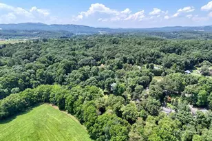 1215 Blue Ridge Hwy, Blairsville, GA 30512 - Photo 72