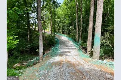 Tract 3 Hwy 51S, Homer, GA 30547 - Photo 20