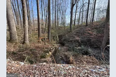 Tract 3 Hwy 51S, Homer, GA 30547 - Photo 12