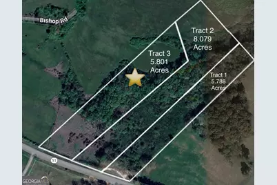 Tract 3 Hwy 51S, Homer, GA 30547 - Photo 1