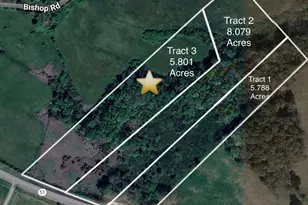 Tract 3 Hwy 51S, Homer, GA 30547 - Photo 1