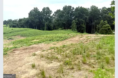 Tract 3 Hwy 51S, Homer, GA 30547 - Photo 6