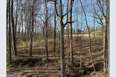 Tract 3 Hwy 51S, Homer, GA 30547 - Photo 46