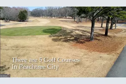 3042 State Street, Peachtree City, GA 30269 - Photo 38