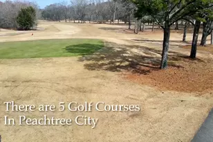 3042 State St, Peachtree City, GA 30269 - Photo 38