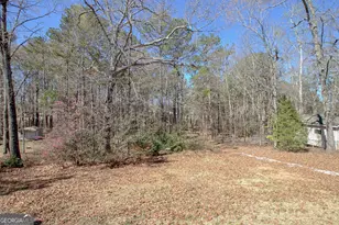 36 Cumberland Trail, Senoia, GA 30276 - Photo 38