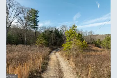 87 Eagle Creek Farm Drive, Dawsonville, GA 30534 - Photo 8