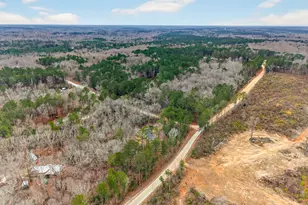 11 White Oak Trail, Carlton, GA 30627 - Photo 38