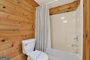 488 Jo Anne Sisson Rd, Blue Ridge, GA 30513 - Photo 34